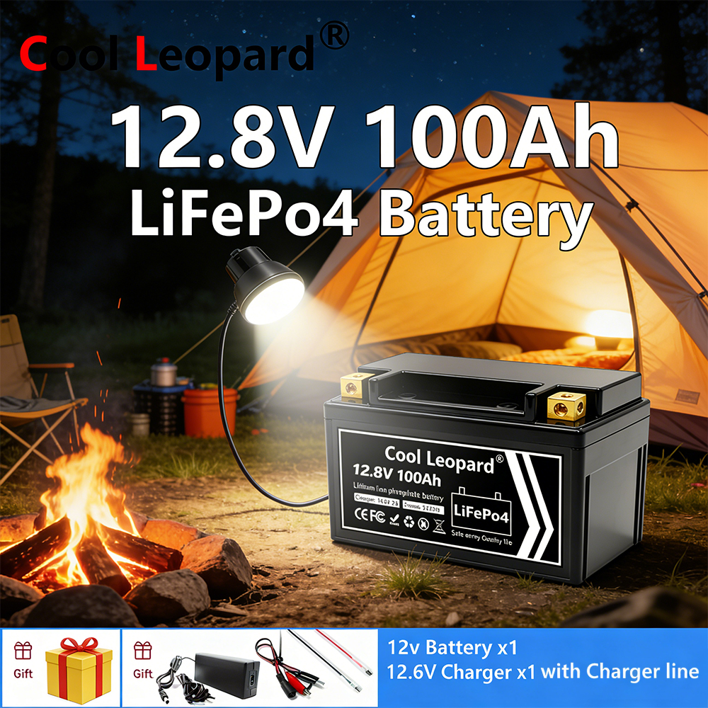 Lightweight 12V 100Ah LiFePO4  – Fish Finder Charger Bewertung und Preis