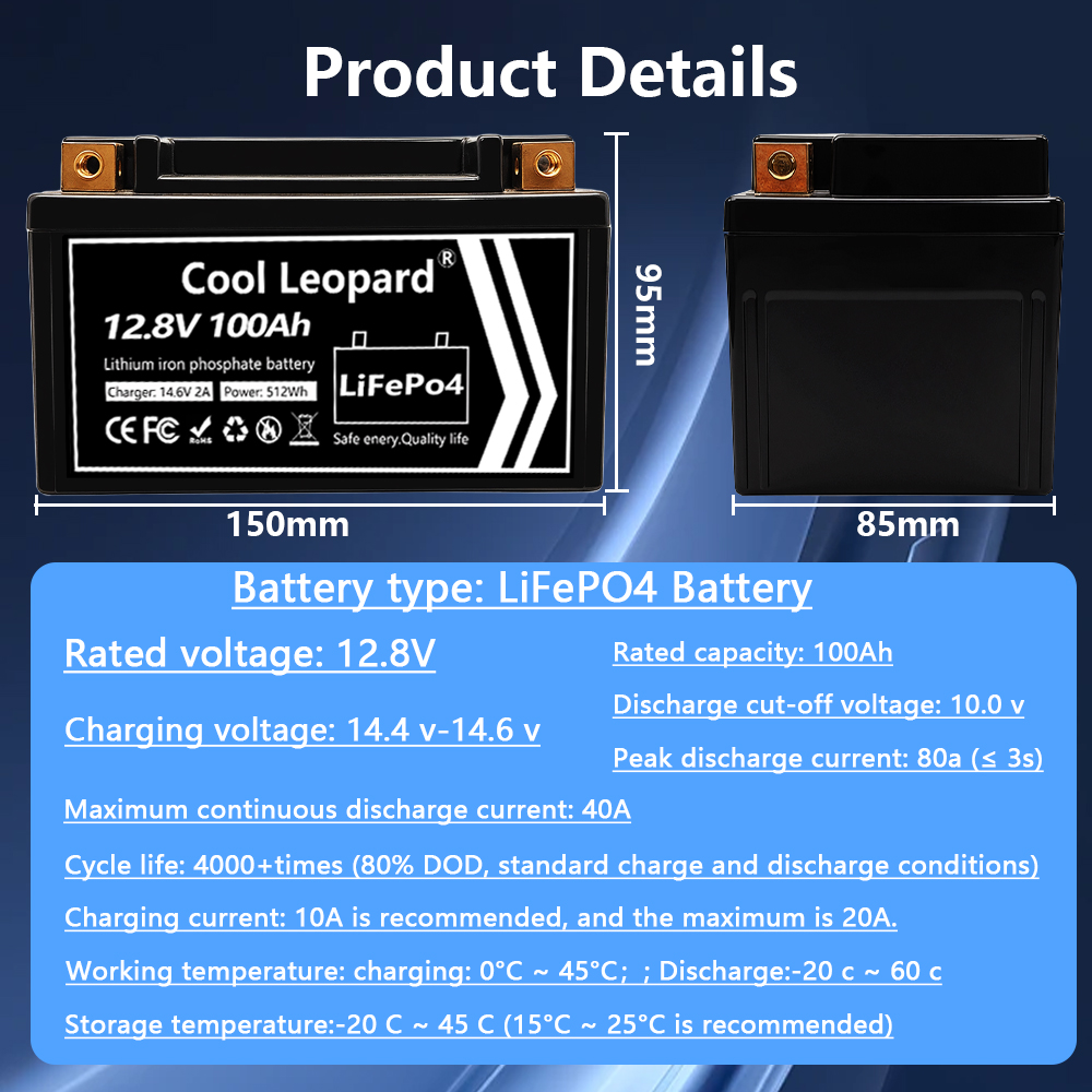 Lightweight 12V 100Ah LiFePO4  – Fish Finder Charger Bewertung und Preis